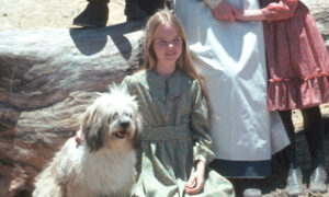 Les fans de Little House conviennent que Mary Ingalls était le personnage le mieux habillé de la série originale