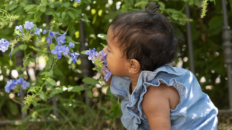 Une petite fille qui sent les fleurs