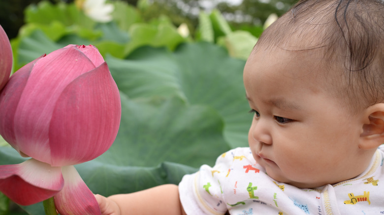 Un bébé regardant une fleur rose